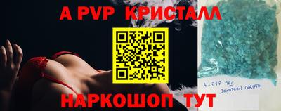 гидра Кингисепп