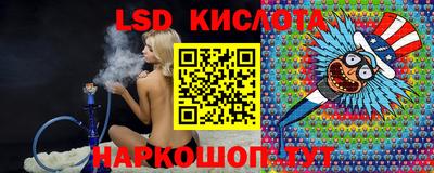 гидра Кингисепп