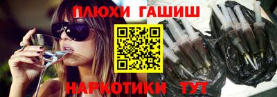 гидра Кингисепп